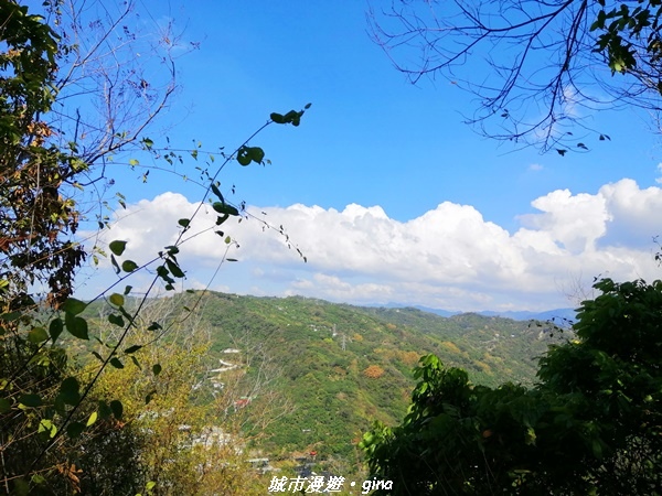 IMG_20210213_142033.jpg IMG_20210213_142033.jpg