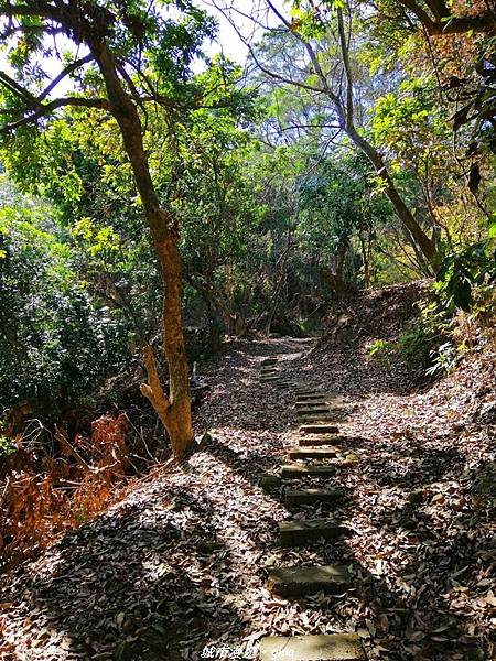 IMG_20210213_141908.jpg IMG_20210213_141908.jpg