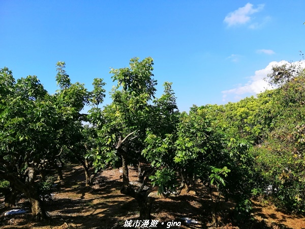 IMG_20210213_143229.jpg IMG_20210213_143229.jpg