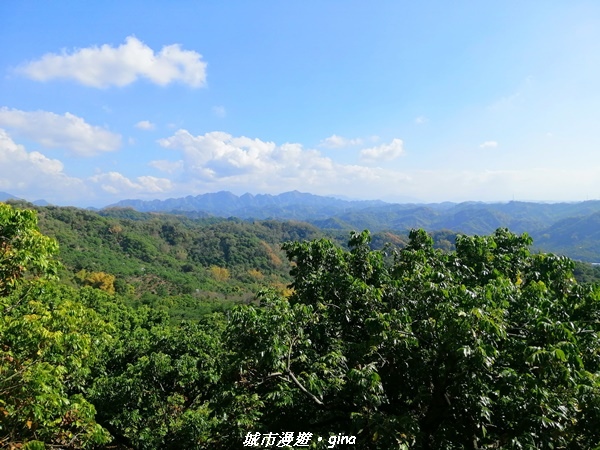 IMG_20210213_143353.jpg IMG_20210213_143353.jpg