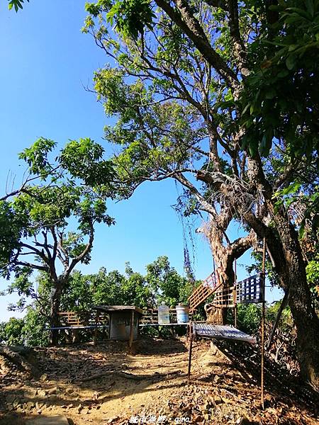 IMG_20210213_143342.jpg IMG_20210213_143342.jpg