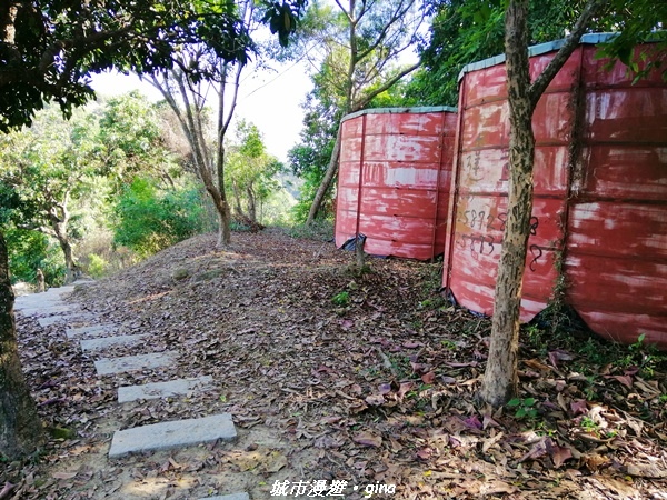 IMG_20210213_144429.jpg IMG_20210213_144429.jpg