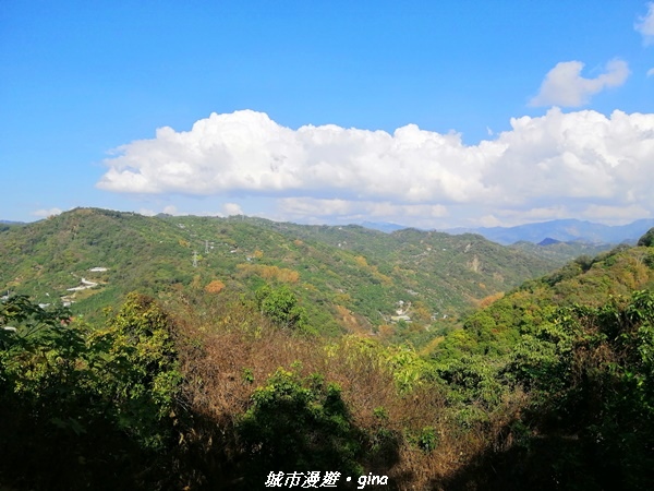 IMG_20210213_144454.jpg IMG_20210213_144454.jpg