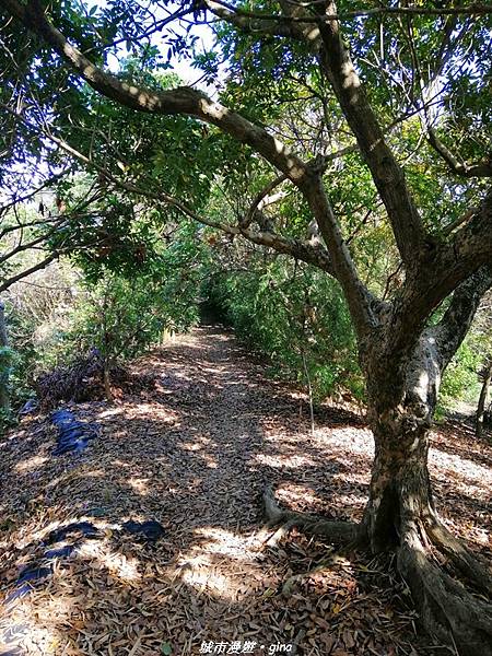 IMG_20210213_144034.jpg IMG_20210213_144034.jpg