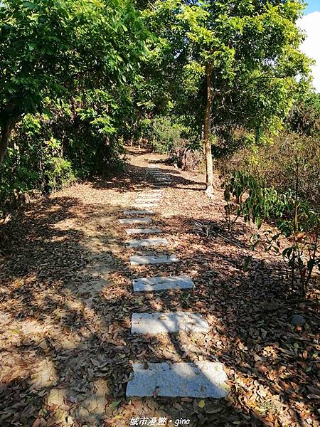 IMG_20210213_144318.jpg IMG_20210213_144318.jpg