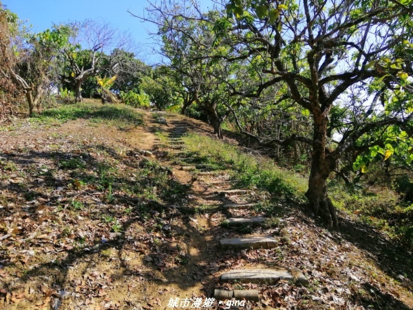 IMG_20210213_144800.jpg IMG_20210213_144800.jpg