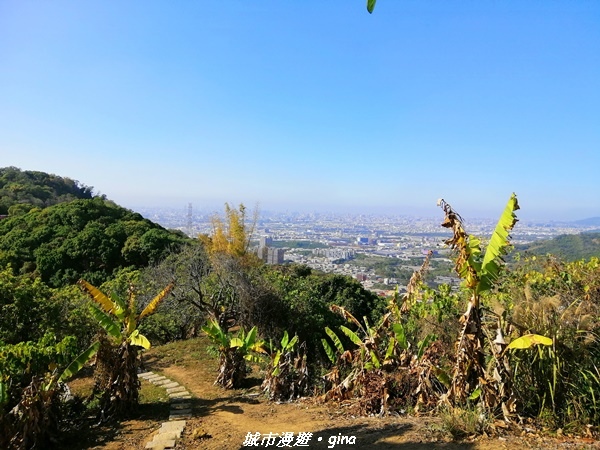 IMG_20210213_144954.jpg IMG_20210213_144954.jpg