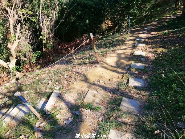 IMG_20210213_145141.jpg IMG_20210213_145141.jpg