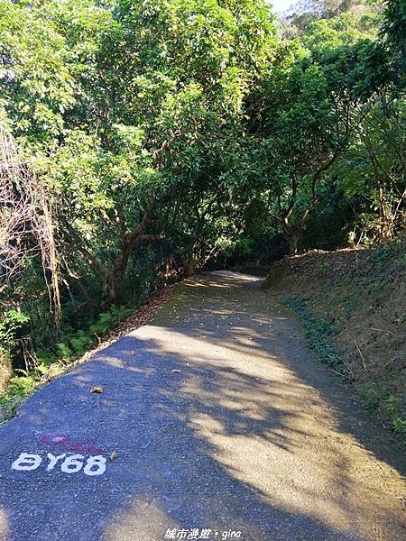 IMG_20210213_145230.jpg IMG_20210213_145230.jpg