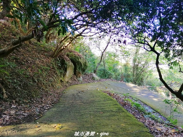 【台中太平】原始悠靜山林。 淨德寺後山步道