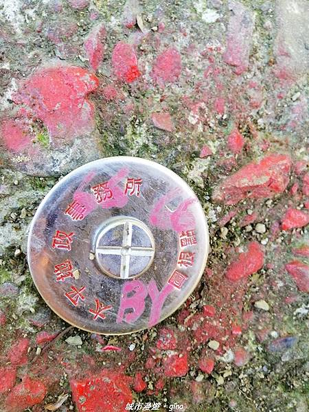 IMG_20210213_145839.jpg IMG_20210213_145839.jpg