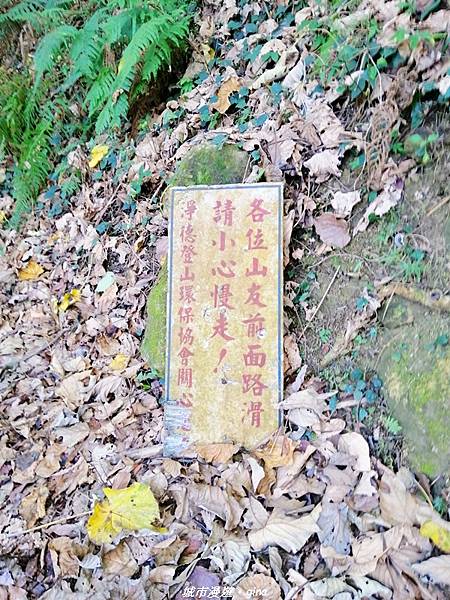 IMG_20210213_145408.jpg IMG_20210213_145408.jpg