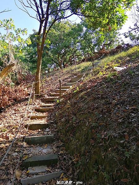 IMG_20210213_145210.jpg IMG_20210213_145210.jpg