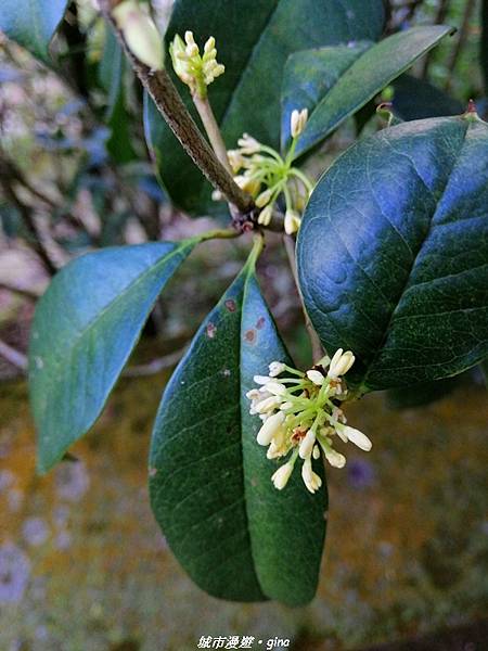 IMG_20210213_151445.jpg IMG_20210213_151445.jpg