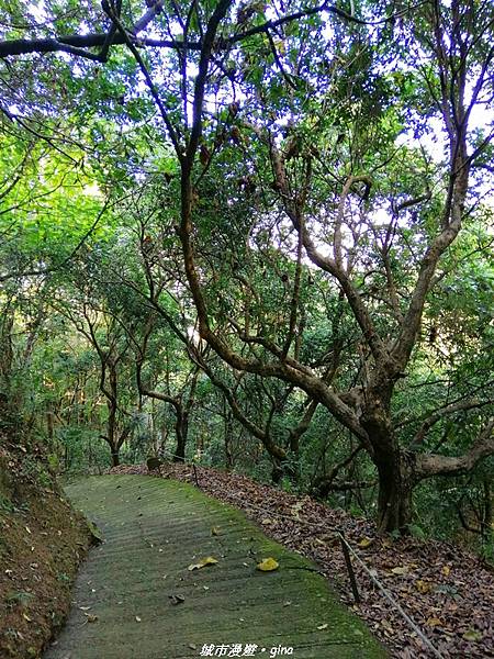 IMG_20210213_150112.jpg IMG_20210213_150112.jpg