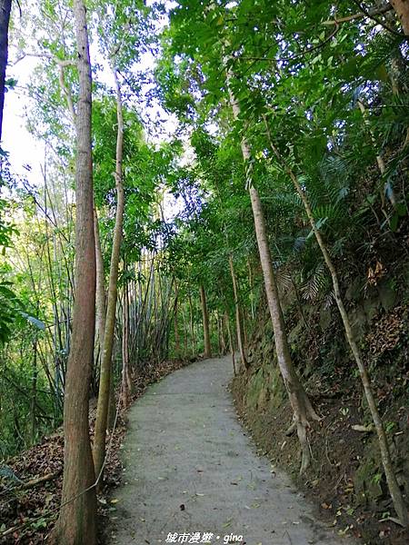 IMG_20210213_150415.jpg IMG_20210213_150415.jpg