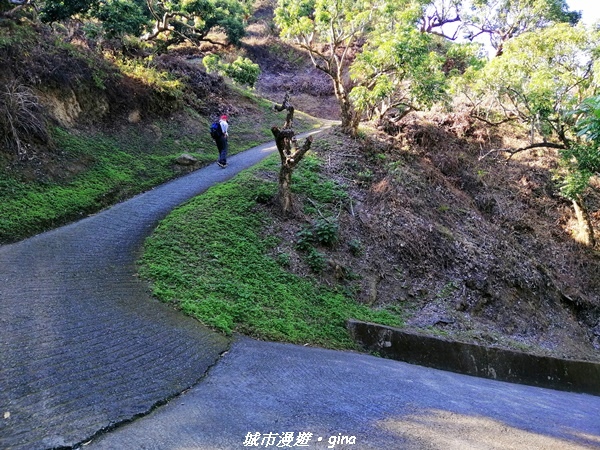 IMG_20210213_150634.jpg IMG_20210213_150634.jpg