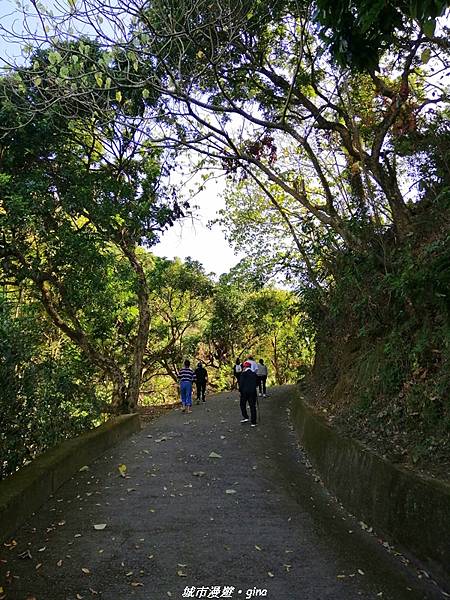 IMG_20210213_151430.jpg IMG_20210213_151430.jpg