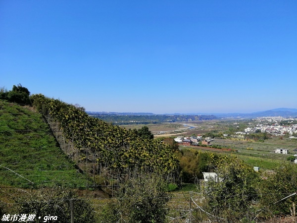 【台中東勢】繁花盛開之山旅漫遊。 軟埤坑天梯步道(北大茅埔山