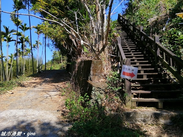 【台中東勢】繁花盛開之山旅漫遊。 軟埤坑天梯步道(北大茅埔山