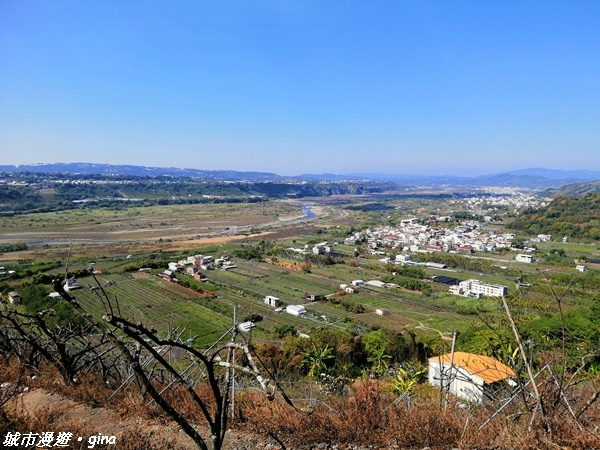 【台中東勢】繁花盛開之山旅漫遊。 軟埤坑天梯步道(北大茅埔山