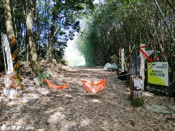 【台中東勢】繁花盛開之山旅漫遊。 軟埤坑天梯步道(北大茅埔山