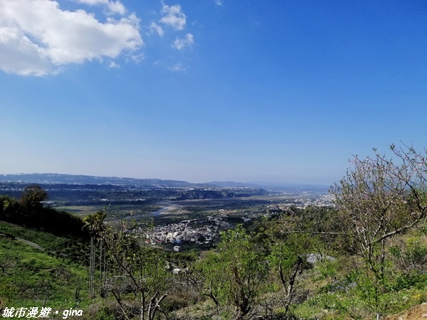 【台中東勢】繁花盛開之山旅漫遊。 軟埤坑天梯步道(北大茅埔山