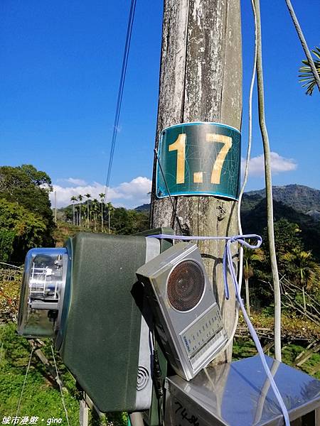 【台中東勢】繁花盛開之山旅漫遊。 軟埤坑天梯步道(北大茅埔山