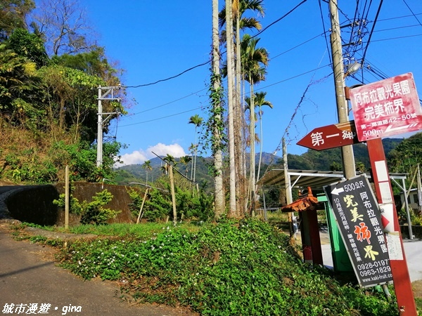 【台中東勢】繁花盛開之山旅漫遊。 軟埤坑天梯步道(北大茅埔山