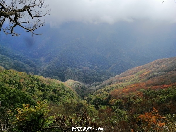 【苗栗泰安】手腳並用之虎山行。 水雲三星~虎山步道