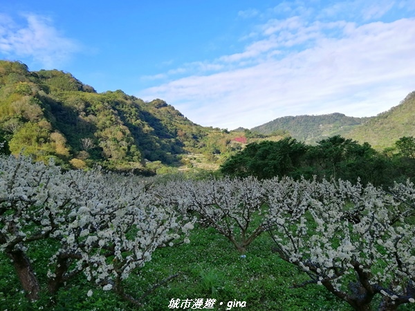 【苗栗泰安】手腳並用之虎山行。 水雲三星~虎山步道