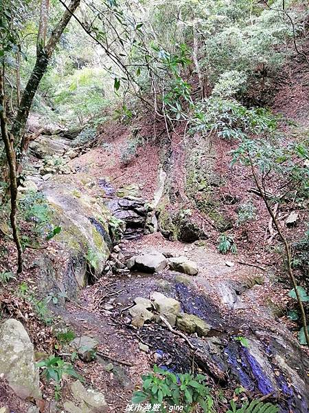 【苗栗泰安】手腳並用之虎山行。 水雲三星~虎山步道