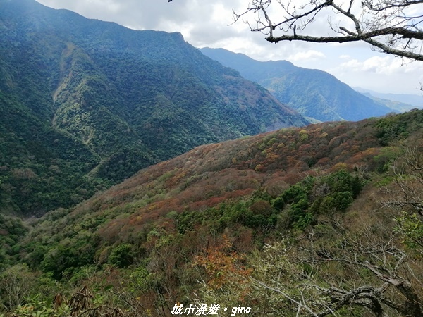 【苗栗泰安】手腳並用之虎山行。 水雲三星~虎山步道