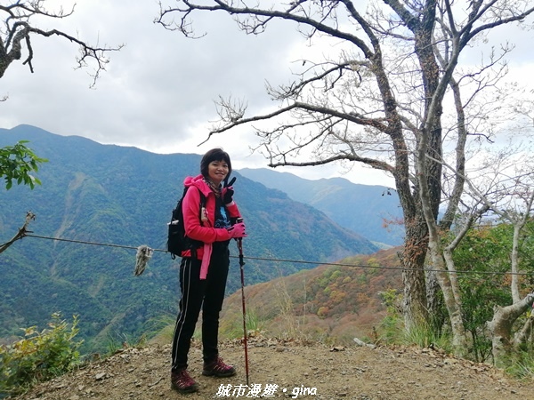 【苗栗泰安】手腳並用之虎山行。 水雲三星~虎山步道