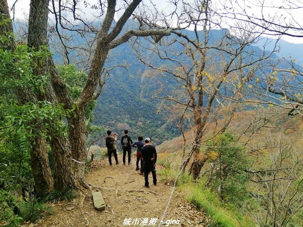 【苗栗泰安】手腳並用之虎山行。 水雲三星~虎山步道