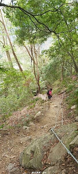 【苗栗泰安】手腳並用之虎山行。 水雲三星~虎山步道