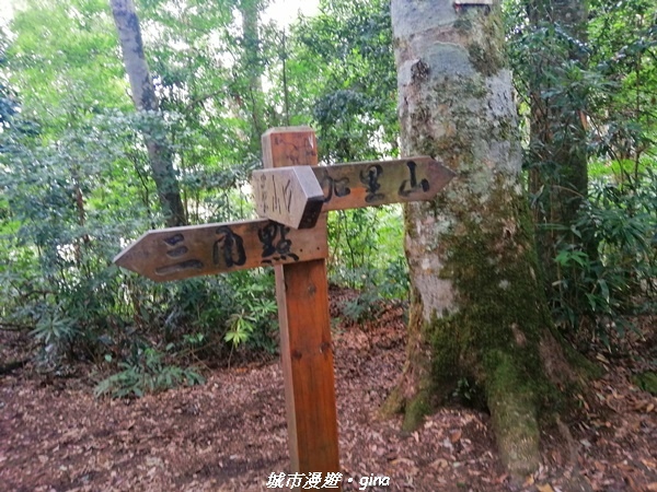 【苗栗泰安】手腳並用之虎山行。 水雲三星~虎山步道