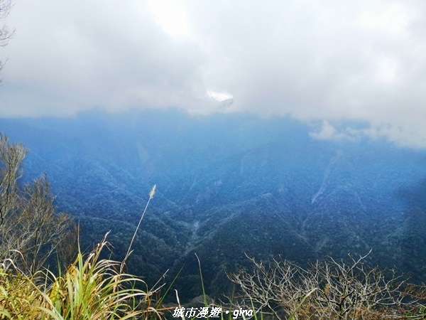 【苗栗泰安】手腳並用之虎山行。 水雲三星~虎山步道