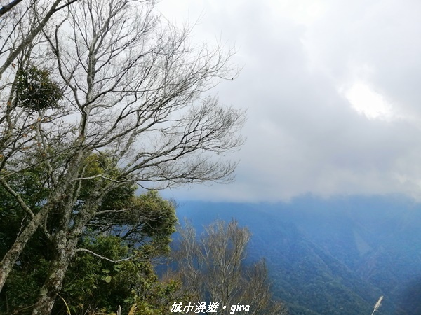 【苗栗泰安】手腳並用之虎山行。 水雲三星~虎山步道