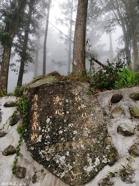 【苗栗獅潭】雲霧裊裊如仙境。 No33小百岳~仙山登山步道