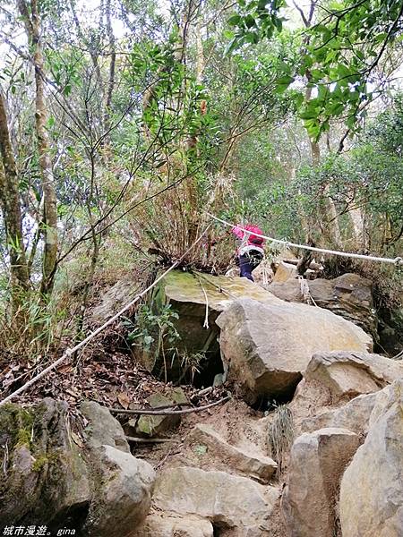 【苗栗獅潭】雲霧裊裊如仙境。 No33小百岳~仙山登山步道