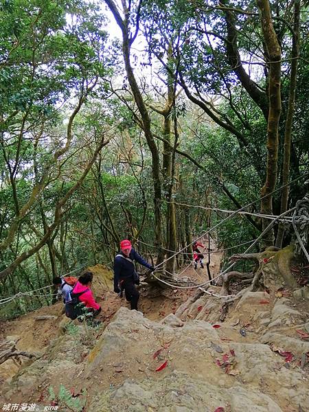 【苗栗獅潭】雲霧裊裊如仙境。 No33小百岳~仙山登山步道