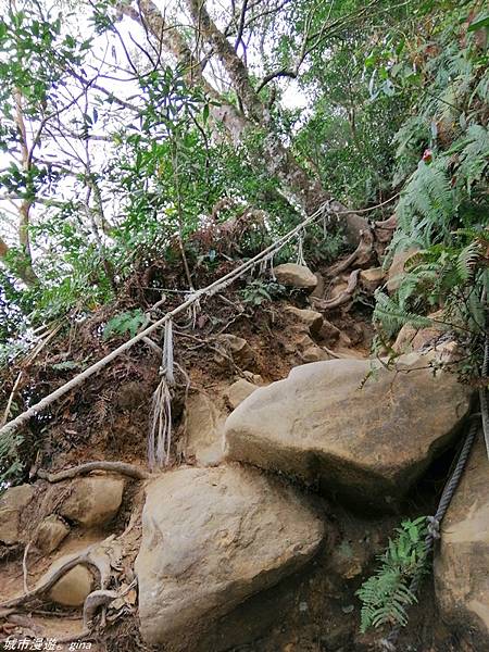 【苗栗獅潭】雲霧裊裊如仙境。 No33小百岳~仙山登山步道