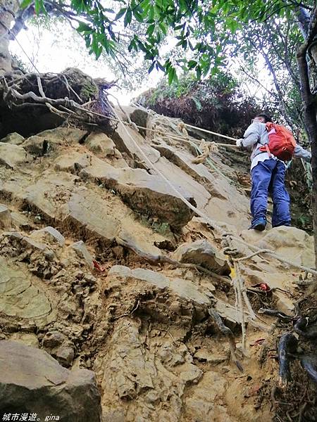 【苗栗獅潭】雲霧裊裊如仙境。 No33小百岳~仙山登山步道