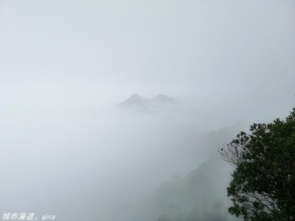 【苗栗獅潭】雲霧裊裊如仙境。 No33小百岳~仙山登山步道