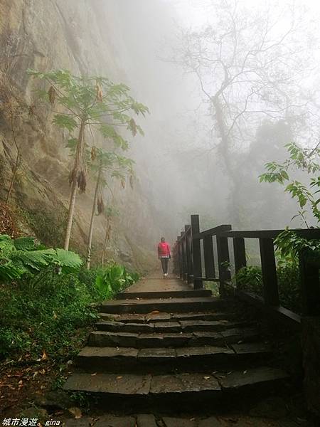 【苗栗南庄】雲霧裡的山中有朦朧美。No29小百岳~獅頭山