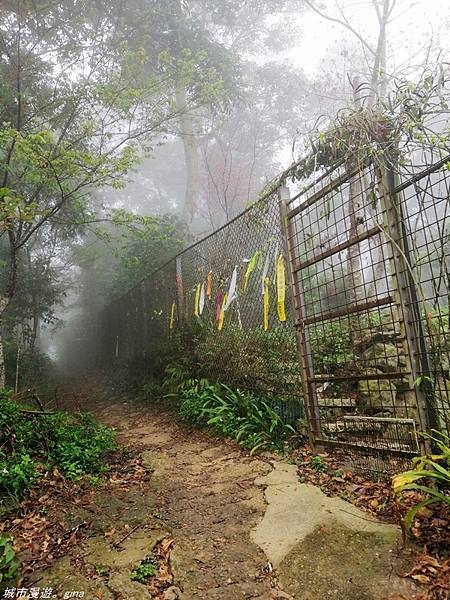 【苗栗南庄】雲霧裡的山中有朦朧美。No29小百岳~獅頭山