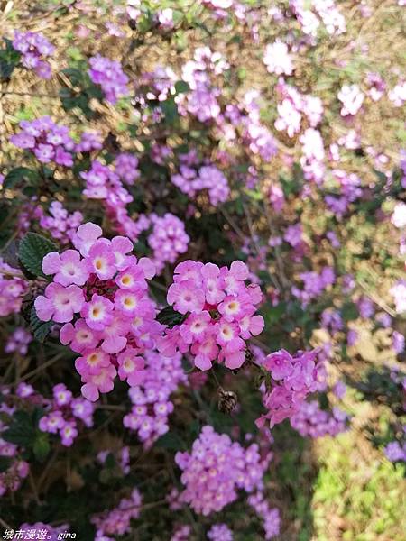 IMG_20210228_143017.jpg IMG_20210228_143017.jpg