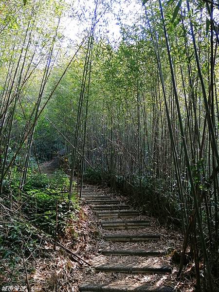 IMG_20210228_144710.jpg IMG_20210228_144710.jpg