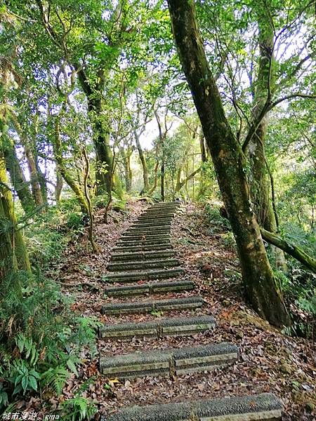 IMG_20210228_143341.jpg IMG_20210228_143341.jpg